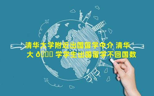 清华大学附近出国留学中介 清华大 🐒 学学生出国留学不回国数据